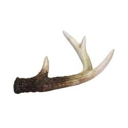 ASA Decorative Antlers Polyresin Brown Height 14 cm Width 10 cm