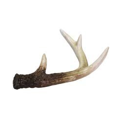 ASA Decorative Antlers Polyresin Brown Height 14 cm Width 10 cm