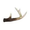 ASA Decorative Antlers Polyresin Brown Height 14 cm Width 10 cm view 1