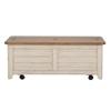 Liberty Furniture Farmhouse Reimagined Storage Trunk view 1