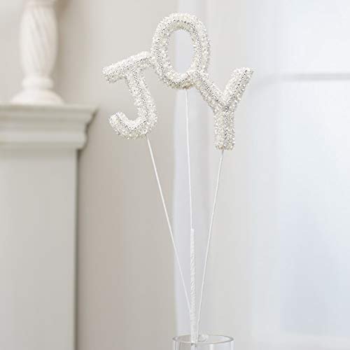 Factory Direct Craft Silver and White J-O-Y Spray