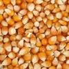 Planet 007 Pop Corn Kernels 400 Gram view 1