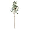 Napa Home & Garden, Olive STEM with Olives 19.5" view 1