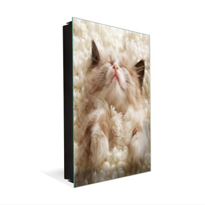 Decorative Key Storage Cabinet with Glass White Board K10A: Little Kitten Sleeping