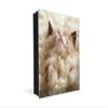 Decorative Key Storage Cabinet with Glass White Board K10A: Little Kitten Sleeping view 1