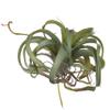 A & B Home 11.8 in W Green Plastic Indoor Outdoor Faux Green Spider Plant Stem, Home Accent Dcor view 1