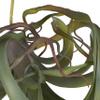 A & B Home 11.8 in W Green Plastic Indoor Outdoor Faux Green Spider Plant Stem, Home Accent Dcor view 2
