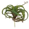 A&B Home Faux Green Spider Plant, Dark, 12x12x8 inches Stem view 1