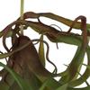 A&B Home Faux Green Spider Plant, Dark, 12x12x8 inches Stem view 2