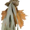 A&B Home Faux Mature Reindeer Grass Stem in Dark Green Green/Botanical view 2