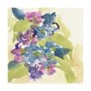 Trademark Fine Art Cool Spring Bouquet 2 by Chris Paschke, 35x35 view 1