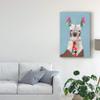 Trademark Fine Art Adorned Llama I by Victoria Borges, 16x24 view 3