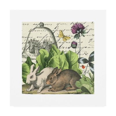 Trademark Fine Art Garden Rabbit II by Wild Apple Portfolio, 18x18