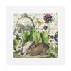 Trademark Fine Art Garden Rabbit II by Wild Apple Portfolio, 18x18 view 1
