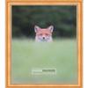 Poster Palooza 6x10 Traditional Gold Complete Wood Picture Frame with UV Acrylic Plexiglass, Foam Board Backing & Hardware Included view 3