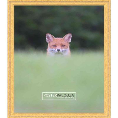 Poster Palooza 19x25 Traditional Gold Complete Wood Picture Frame with UV Acrylic Plexiglass, Foam Board Backing & Hardware Included