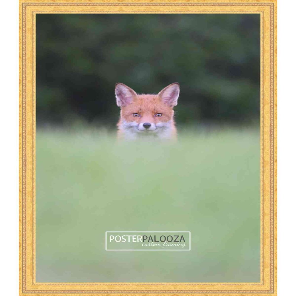 Poster Palooza 19x25 Traditional Gold Complete Wood Picture Frame with UV Acrylic Plexiglass, Foam Board Backing & Hardware Included