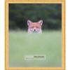 Poster Palooza 19x25 Traditional Gold Complete Wood Picture Frame with UV Acrylic Plexiglass, Foam Board Backing & Hardware Included view 1