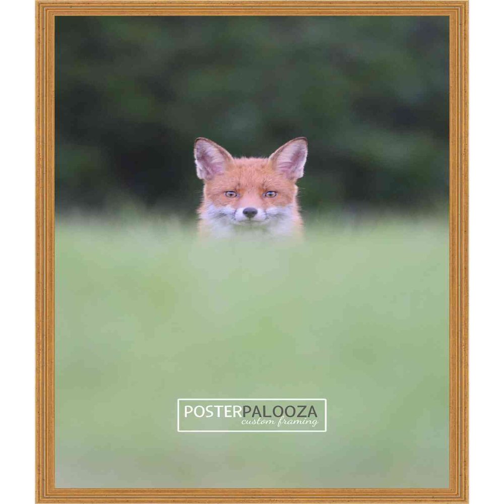 Poster Palooza 4x5 Inch Traditional Gold Complete Wood Picture Frame with UV Acrylic Plexiglass, Foam Board Backing & Hardware Included - 4x5 Inch Frame