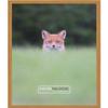 Poster Palooza 4x5 Inch Traditional Gold Complete Wood Picture Frame with UV Acrylic Plexiglass, Foam Board Backing & Hardware Included - 4x5 Inch Frame view 1