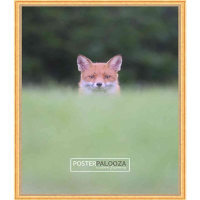 Poster Palooza 19x26 Traditional Gold Complete Wood Picture Frame with UV Acrylic Plexiglass, Foam Board Backing & Hardware Included