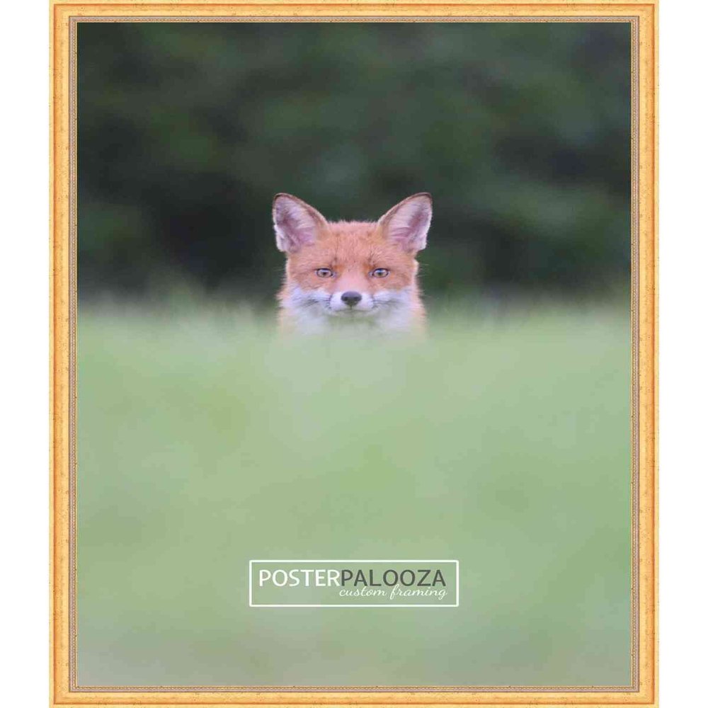 Poster Palooza 19x26 Traditional Gold Complete Wood Picture Frame with UV Acrylic Plexiglass, Foam Board Backing & Hardware Included