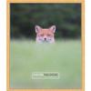 Poster Palooza 19x26 Traditional Gold Complete Wood Picture Frame with UV Acrylic Plexiglass, Foam Board Backing & Hardware Included view 1