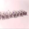 1UA Neon Nixie Military Thyratron Ion Relay Glow Signal New 10pcs/lot view 2
