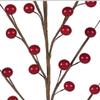Allstate Floral RED Berry XBS375-RE/S Good for Christmas Decoration, Party, Home Decor, and Holiday Celebration (24PC) view 1