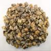 Natural Septarian Dragon Stones Rough Gemstone Calcite Aragonite Crystal Mineral Cabochon Specimen Raw Cabs - Madagascar (30PCS) view 3