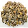 Natural Septarian Dragon Stones Rough Gemstone Calcite Aragonite Crystal Mineral Cabochon Specimen Raw Cabs - Madagascar (30PCS) view 4