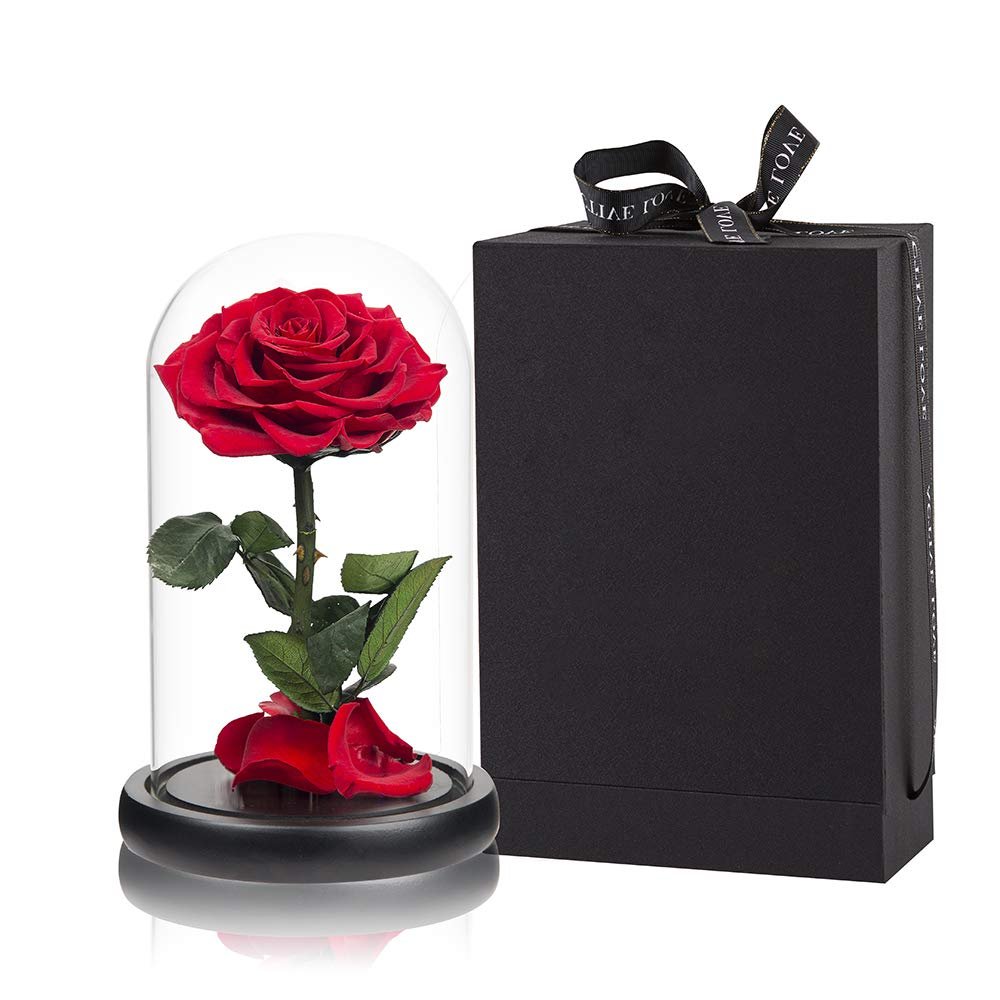 Red Roses Handmade Rose in Glass Dome, Preserved Flowers Never Withered Romantic Gifts for Her, Mother's Day, Birthday Gifts for Women