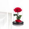Red Roses Handmade Rose in Glass Dome, Preserved Flowers Never Withered Romantic Gifts for Her, Mother's Day, Birthday Gifts for Women view 2