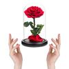 Red Roses Handmade Rose in Glass Dome, Preserved Flowers Never Withered Romantic Gifts for Her, Mother's Day, Birthday Gifts for Women view 3
