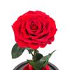 Red Roses Handmade Rose in Glass Dome, Preserved Flowers Never Withered Romantic Gifts for Her, Mother's Day, Birthday Gifts for Women view 4