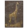 The Oliver Gal Artist Co. Animals Wall Art Canvas Prints 'Giraffe Sahara' view 1
