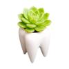 Cuteforyou Cute Tooth Shaped Ceramic Succulent Cactus Flower Pot-Plants Not Included (3.95" White) view 4