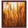 CountryArtHouse 20x8 Frame Brown Mahogany Picture Frame - Solid Wood Frame Kit Includes UV Acrylic Plexiglass, Acid Free Foam Backing Board and Hanging Hardware view 4