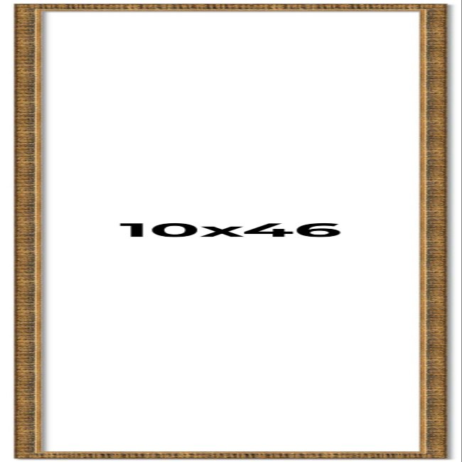 10x46 Frame Gold Picture Frame - Complete Modern Photo Frame Includes UV Acrylic Shatter Guard Front, Acid Free Foam Backing Board, Hanging Hardware Wood Wall Frames for Family Photos - no Mat
