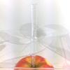 Weststone 25pcs Clear Candy Apple Box - 3-5/8 x 3-5/8 x4-1/4 view 3