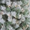 9' Pre-Lit Flocked Winema Pine Artificial Christmas Tree - Clear Lights view 3