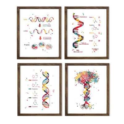 Watercolor DNA RNA Genetic Code Double Helix Tree of Life Illustration Art Print Set for Chemistry Lab Display, Biology Classroom Inspiration, Research Office Hub, Home Library Discovery, Study Desk Reference, Genetic Engineering Corner, Biotech Work
