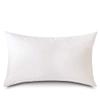 20x76 Luxury Hypoallergenic 50/50 Fluffy Feather Poly Blend Rectangular Grand King Pillow Insert, 100% Cambric Cotton Shell, Never Vacuum-Packed, Odorless, Made in USA view 1