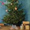Tree Nest Christmas Tree Stand Base Modern Tree for 6ft Real Tree Small Tree Tabletop Holder Xmas Tree Decoration Hip (Silver) view 2