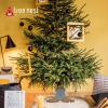 Tree Nest Christmas Tree Stand Base Modern Tree for 6ft Real Tree Small Tree Tabletop Holder Xmas Tree Decoration Hip (Silver) view 3