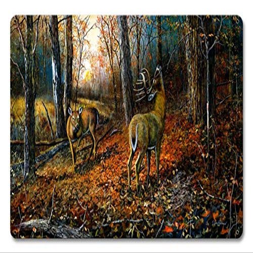 12 X 18 Satin Metal Sign - Signs Of Autumn