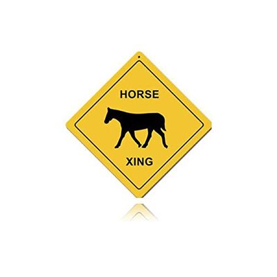 12 X 12 Satin Metal - Sign Horse Xing