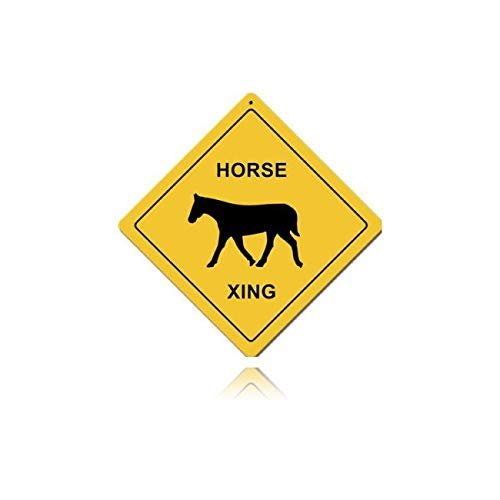 12 X 12 Satin Metal - Sign Horse Xing
