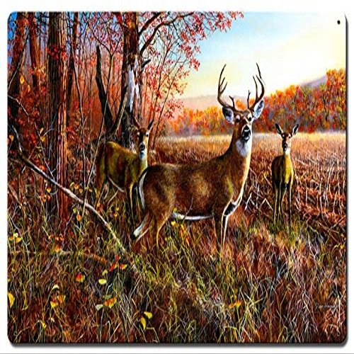 16 X 24 Satin Metal Sign - The Gathering