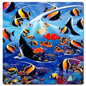 16 X 24 Satin Metal Sign - Angel Fish